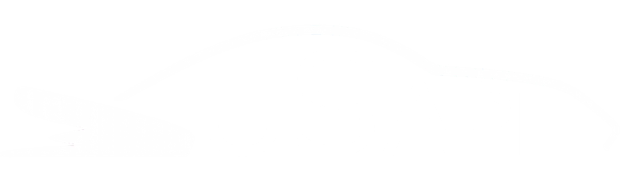 USAPI